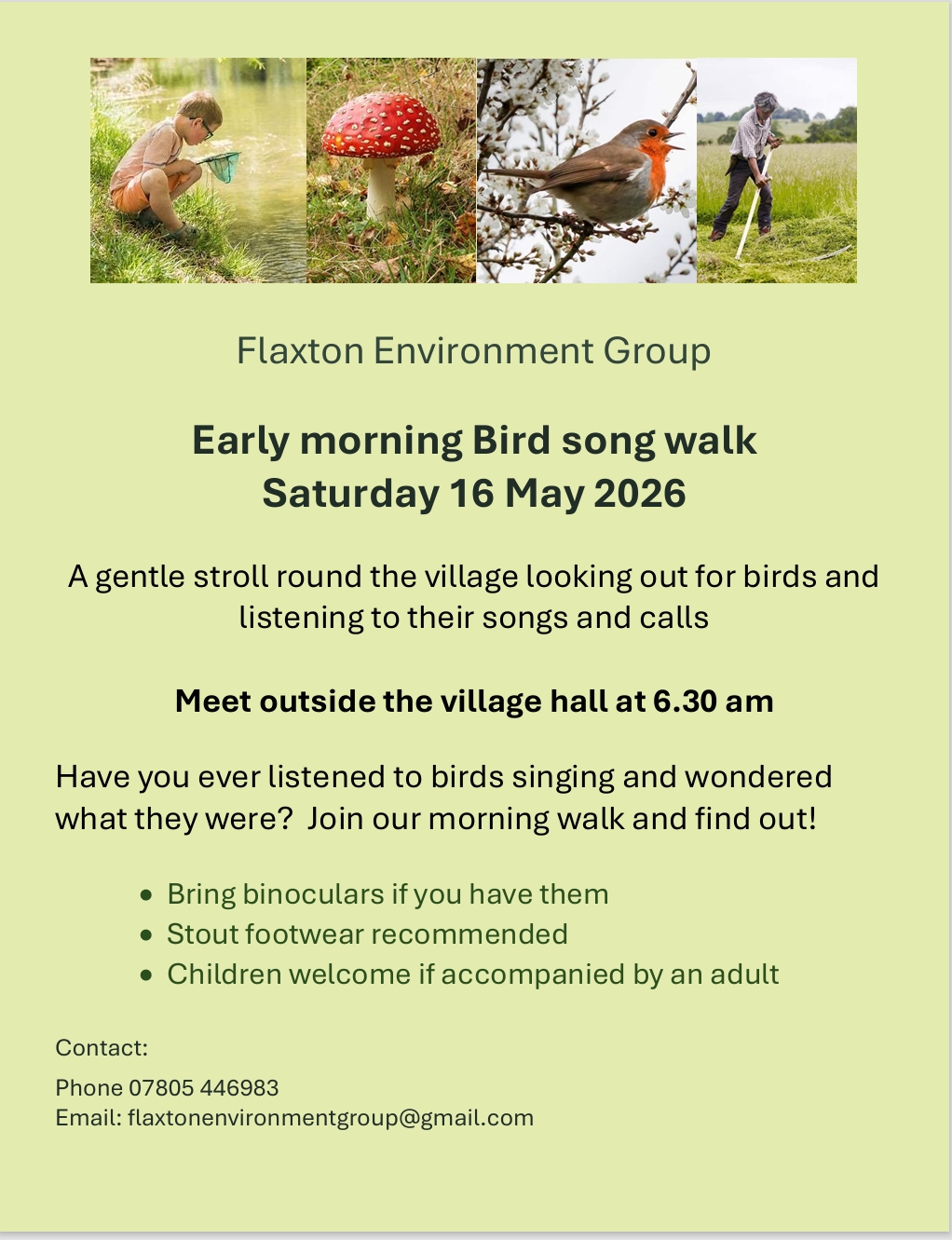 Bird walk poster pale